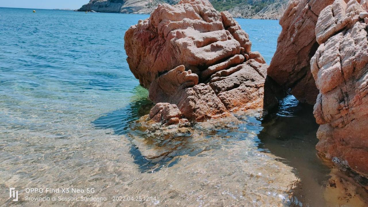 Casa Mughetto R5055 Seafront, Private Sea Access, Swimming Pool Villa La Maddalena  Exteriör bild