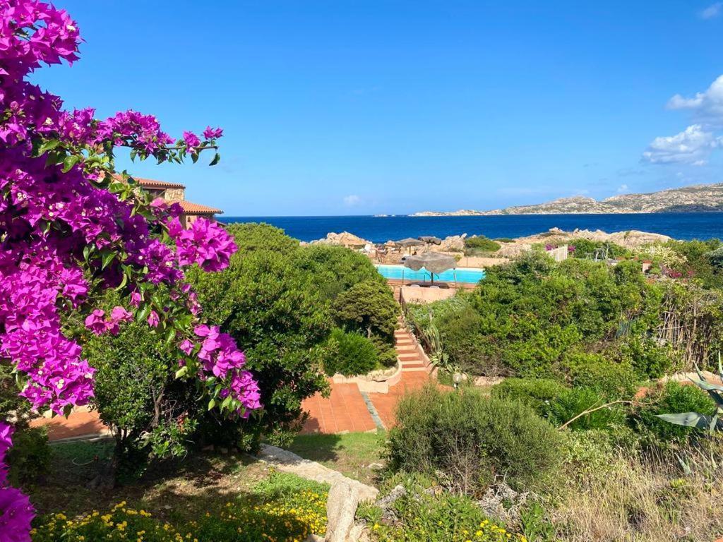 Casa Mughetto R5055 Seafront, Private Sea Access, Swimming Pool Villa La Maddalena  Exteriör bild